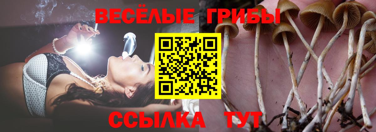 Галлюциногенные грибы MAGIC MUSHROOMS Кисловодск